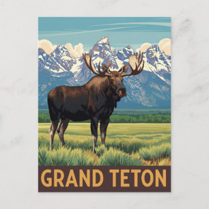 Vintage Moose in Grand Teton National Park Postcard