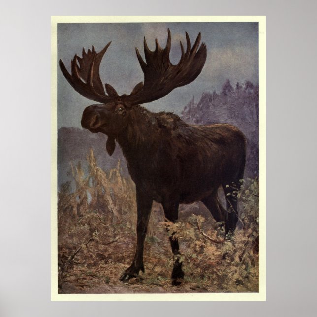 Vintage Moose Painting (1909) Poster (Front)