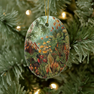 Vintage Moss Plants by Ernst Haeckel, Muscinae Ceramic Ornament