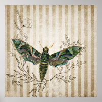 Vintage Moth and Floral Square