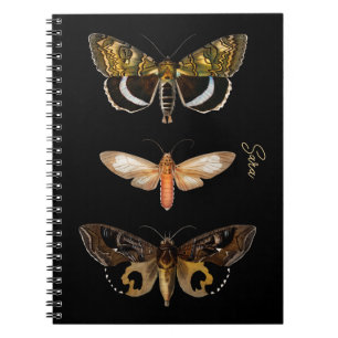 Vintage Moth Butterfly Personalized Notebook