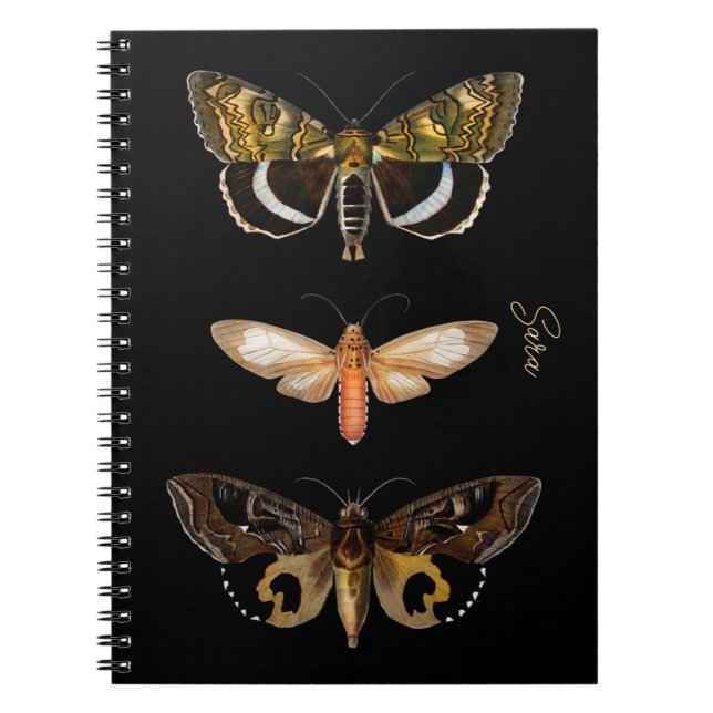 Vintage Moth Butterfly Personalized  Notebook (Front)