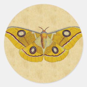 Vintage Moth Classic Round Sticker