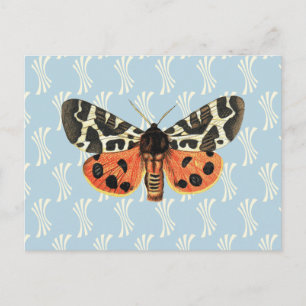 Vintage Moth Illustration Pop Art Postcard