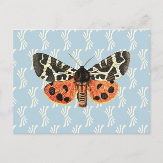 Vintage Moth Illustration Pop Art Postcard (Front)