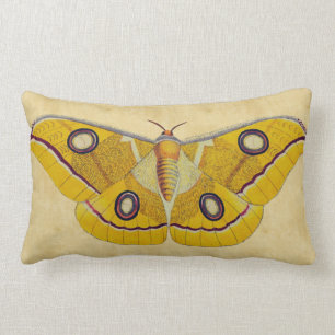 Vintage Moth Lumbar Pillow