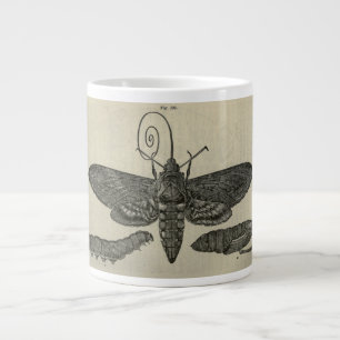 Vintage Moth Metamorphasis Print Large Coffee Mug
