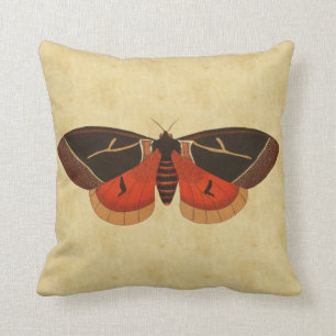 Vintage Moth Throw Pillow