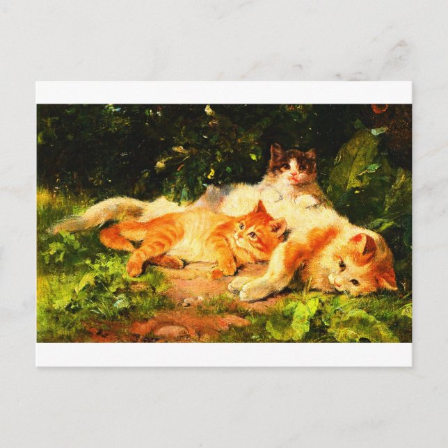 Vintage Mother Cat with Her Playful Kittens Postcard (Front)
