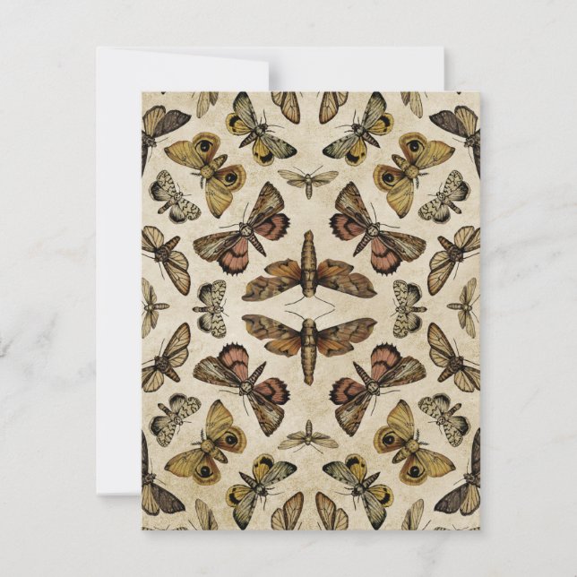 Vintage Moths Card (Front)
