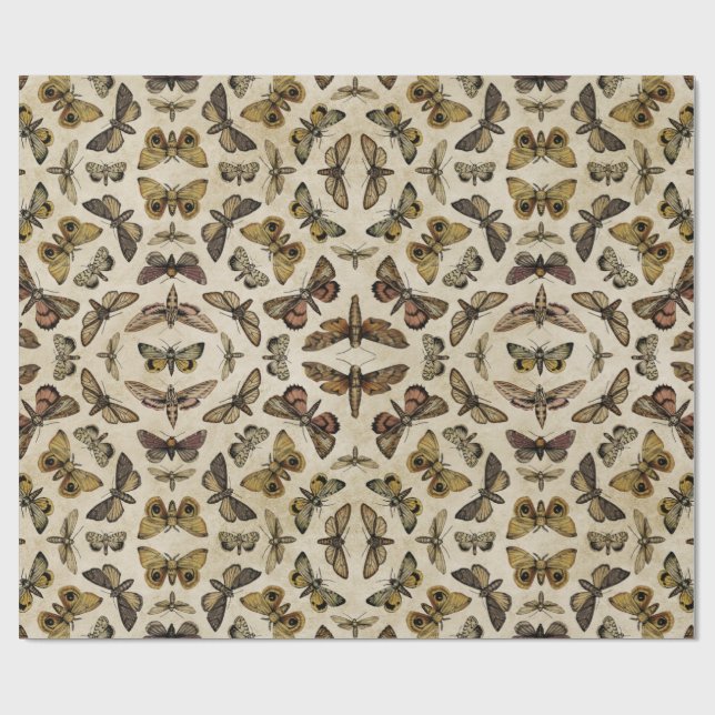 Vintage Moths Wrapping Paper (Flat)