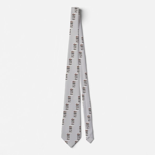 VINTAGE MOTORCYCLES TIE (Front)