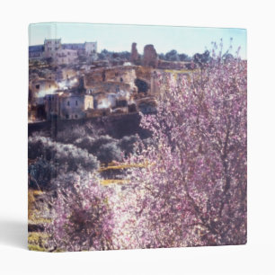 Vintage Mount Of Olives Jerusalem Israel 1950 - 77 Binder