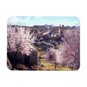 Vintage Mount Of Olives Jerusalem Israel 1950 - 77 Magnet