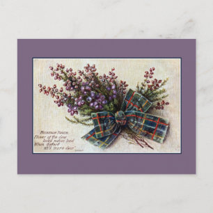 Vintage Mountain Heath Scottish clan ribbon, poem Postcard