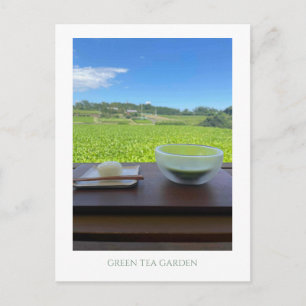 Vintage Mt Fuji Japan Green Tea Postcard