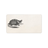 Vintage Mud Tortoise - Reptile Turtle Template