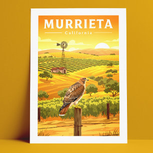 Vintage Murrieta California Postcard