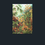 Vintage Muscinae, Moss Plants by Ernst Haeckel Canvas Print<br><div class="desc">Vintage illustration nature botanical design by Ernst Haeckel. A variety of colourful mosses,  grasses and other exotic tropical plants in a rainforest jungle.</div>