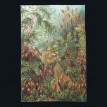 Vintage Muscinae, Moss Plants by Ernst Haeckel Kitchen Towel<br><div class="desc">Vintage illustration nature botanical design by Ernst Haeckel. A variety of colourful mosses,  grasses and other exotic tropical plants in a rainforest jungle.</div>