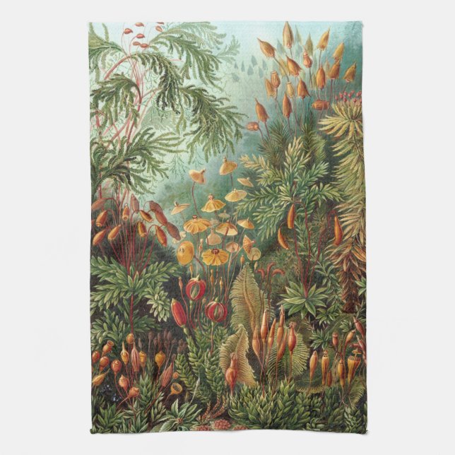 Vintage Muscinae, Moss Plants by Ernst Haeckel Kitchen Towel (Vertical)