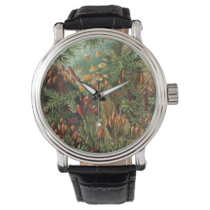 Vintage Muscinae, Moss Plants by Ernst Haeckel Watch
