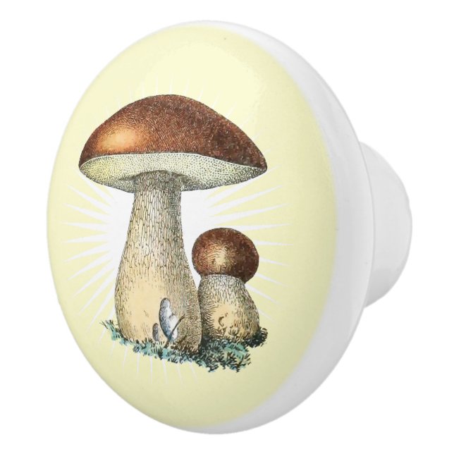 Vintage Mushroom Art Ceramic Knob (Right)