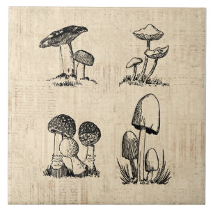 Vintage Mushroom Art Illustration Tile