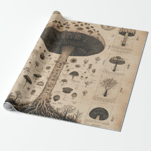 Vintage Mushroom Botanical Chart (10) Wrapping Paper
