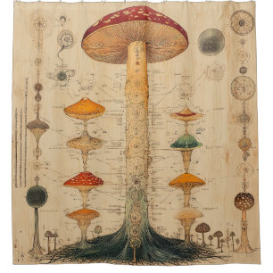 Vintage Mushroom Botanical Chart (11)