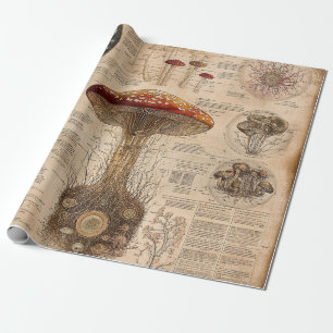 Vintage Mushroom Botanical Chart (2) Wrapping Paper
