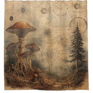 Vintage Mushroom Botanical Chart (3)