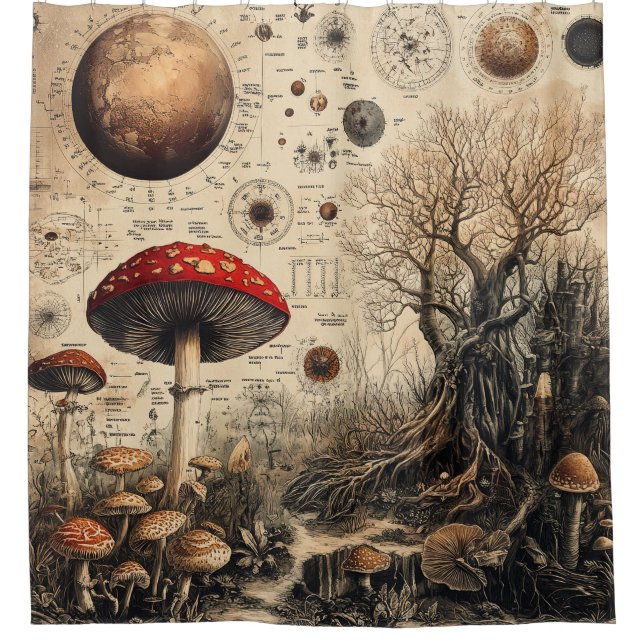 Vintage Mushroom Botanical Chart (4) (Front)