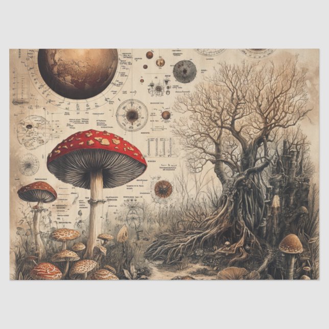 Vintage Mushroom Botanical Chart (4) Tissue Paper (Front)