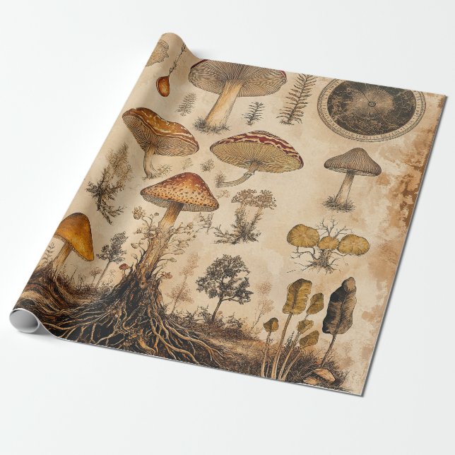 Vintage Mushroom Botanical Chart (6) Wrapping Paper (Unrolled)