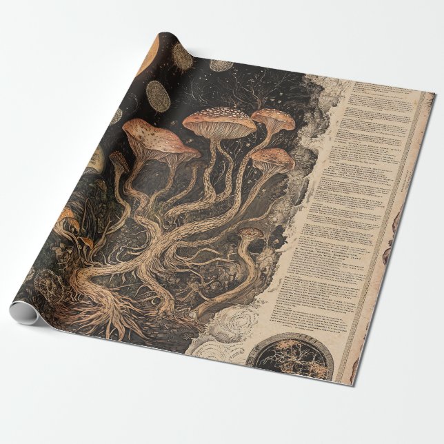 Vintage Mushroom Botanical Chart (7) Wrapping Paper (Unrolled)