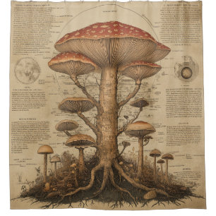 Vintage Mushroom Botanical Chart (9)