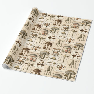 Vintage Mushroom Botanical Prints Wrapping Paper