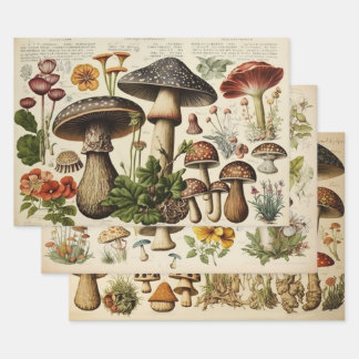 Vintage Mushroom Cottagecore Wrapping Paper Sheet