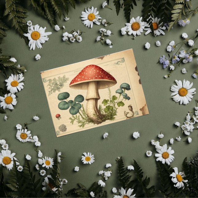 Vintage Mushroom decoupage Tissue Paper (Creator Uploaded)