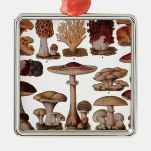Vintage Mushroom Family Botanical Print Metal Ornament