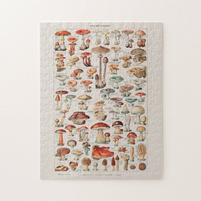 Vintage Mushroom Fungus Illustration I Jigsaw Puzzle (Vertical)