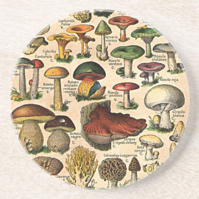 Vintage Mushroom Guide Coaster (Front)