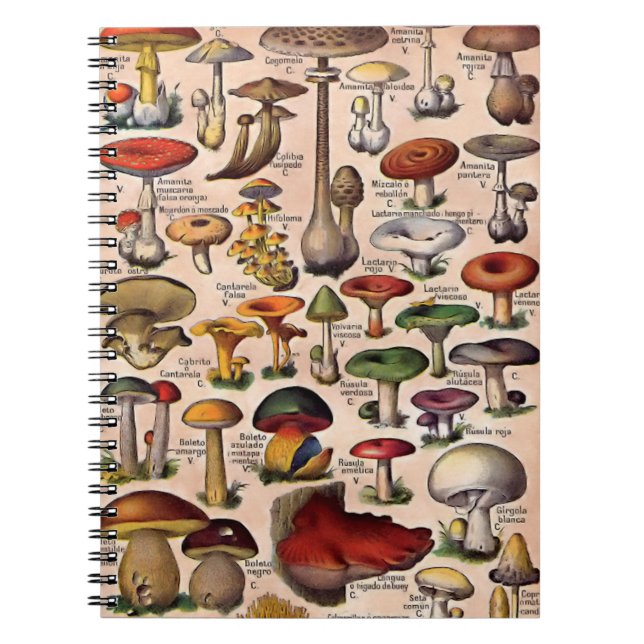 Vintage Mushroom Guide Notebook (Front)