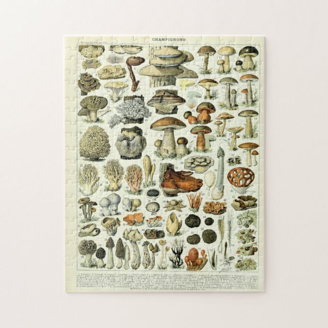 Vintage Mushroom Illustrations by Adolphe Millot Jigsaw Puzzle (Vertical)