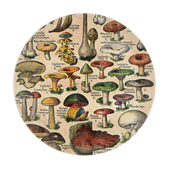 Vintage Mushroom Illustrations Glass Cutting Board (Front)