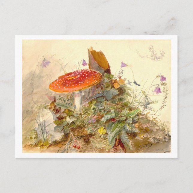 Vintage Mushroom Meadow Scene Postcard (Front)