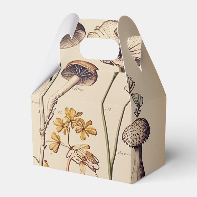 Vintage Mushroom Naturalist Favor Box (Front Side)