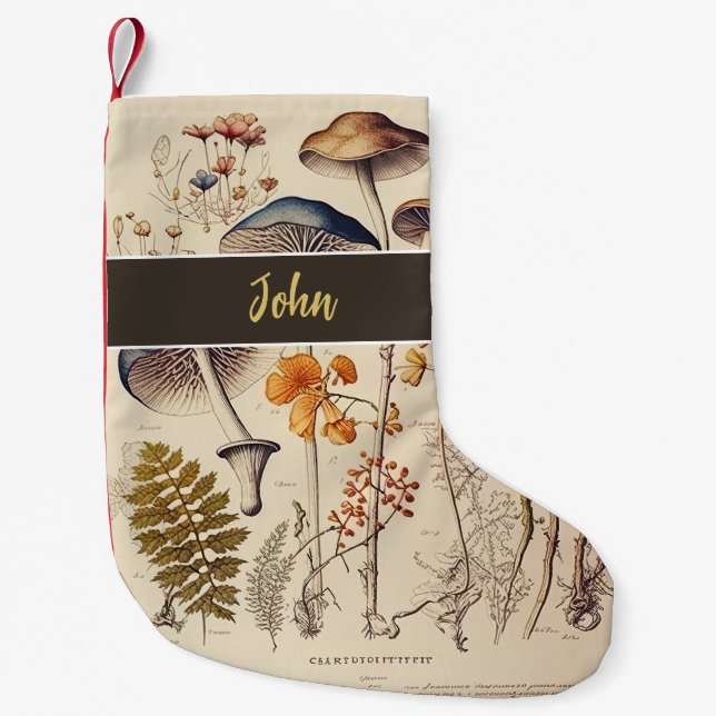 Vintage Mushroom Naturalist Small Christmas Stocking (Front)