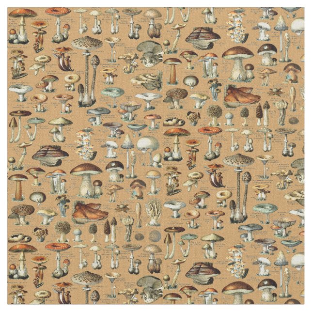 Vintage Mushroom Pattern Fabric (Close Up)
